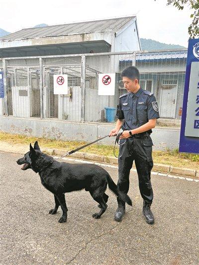 聚焦警队，四只上班没精神的网红小犬通报纪实