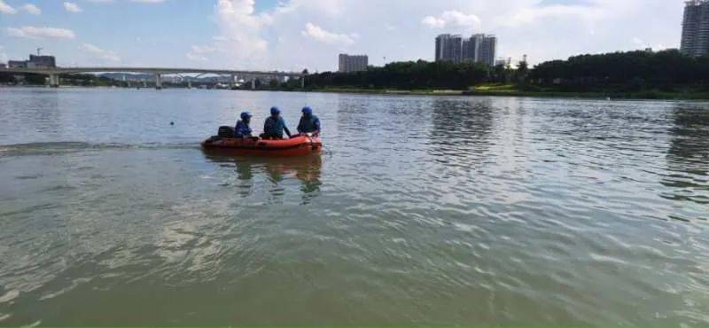 海南一景区附近惊现巨鲸尸体，探寻背后的秘密