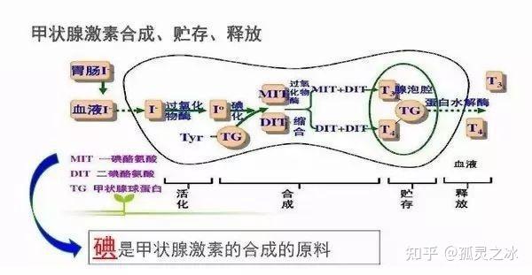 第3209页