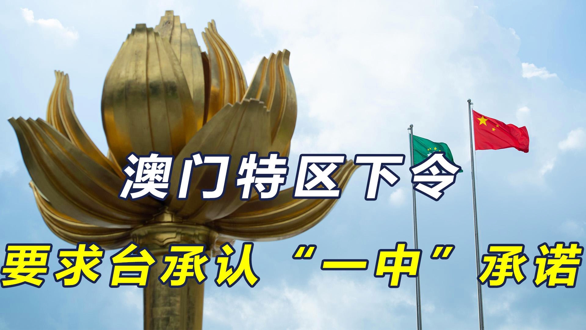 澳门一码一肖一待一中今晚内部数据与竞争分析,澳门一码一肖一待一中今晚_{关键词3}