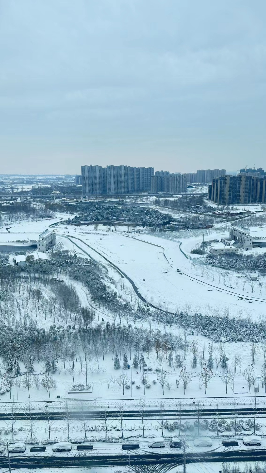 郑州下雪了，一场冬日里的浪漫与惊喜