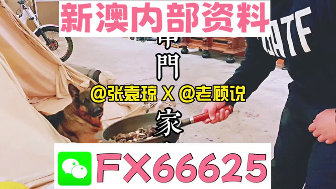 澳门管家婆助你轻松制定目标计划,澳门管家婆_{关键词3}