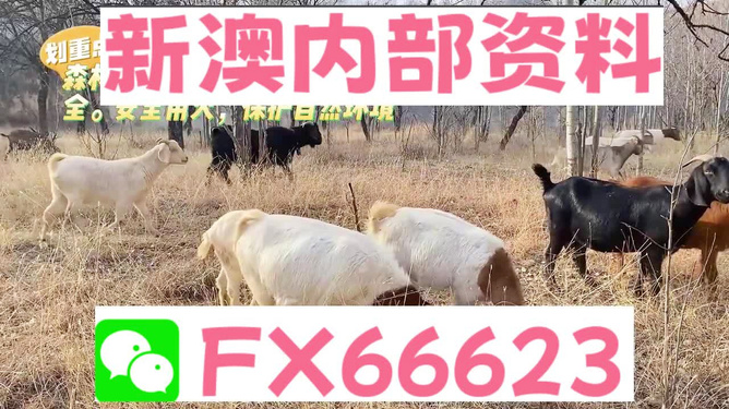 诱惑’暧昧 第2页