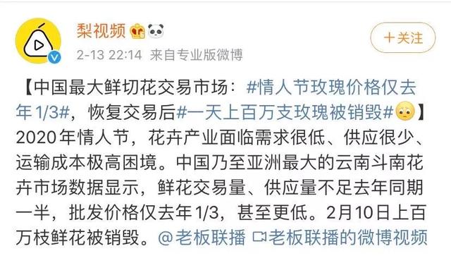 从死亡、疯狂到自恋与情色，20XX年度深度洞察的谈话风暴合录揭秘！标题吸引，内容震撼心灵。