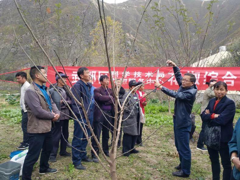 时光刺客，隐匿于秒针的神秘力量与游戏开发的无限探索之旅！深度解析其背后的奥秘与挑战。