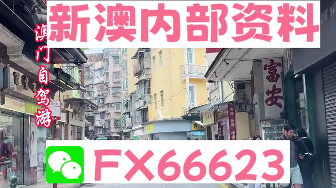 新澳精准资料免费提供，揭秘青年逐梦背后的惊天真相！娱乐版65.765震撼发布！