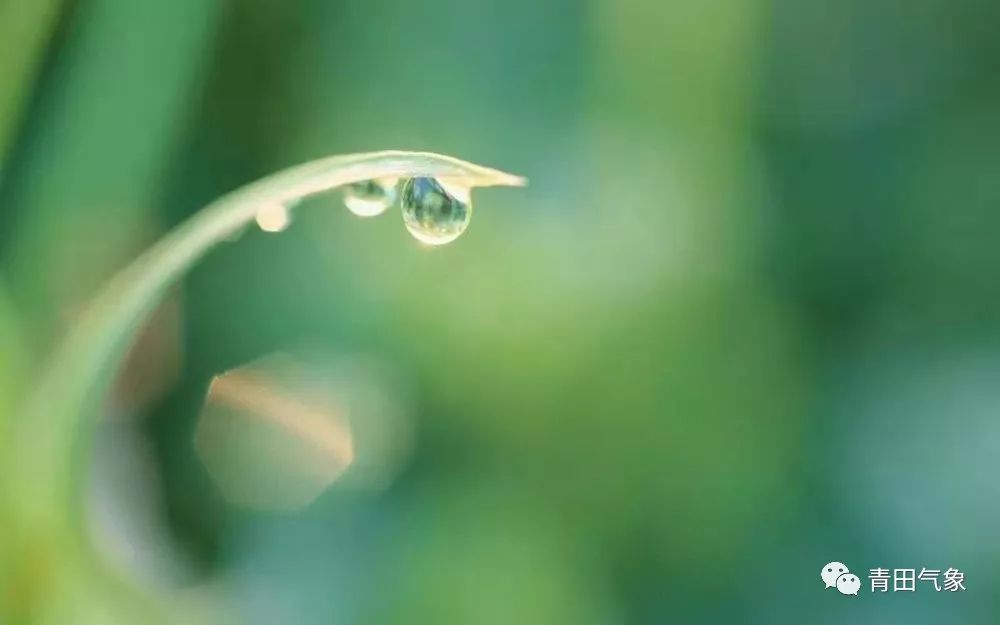 今日雨水突袭！居民惊呼，这场雨究竟为何如此反常？背后真相令人揪心！