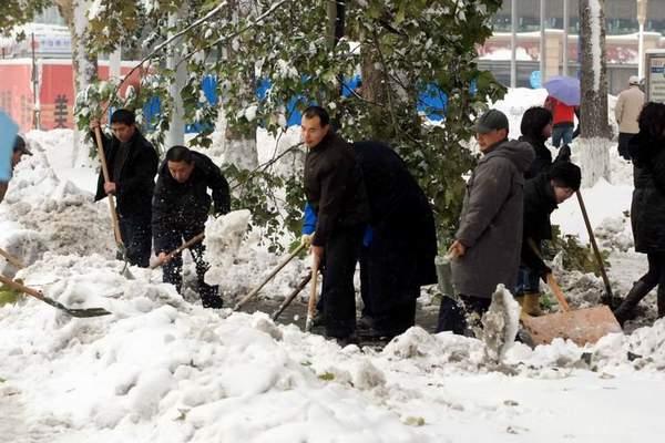 石家庄大雪突袭！市民惊魂未定，背后真相竟如此惊人？