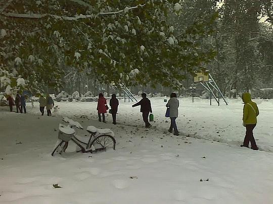 石家庄大雪