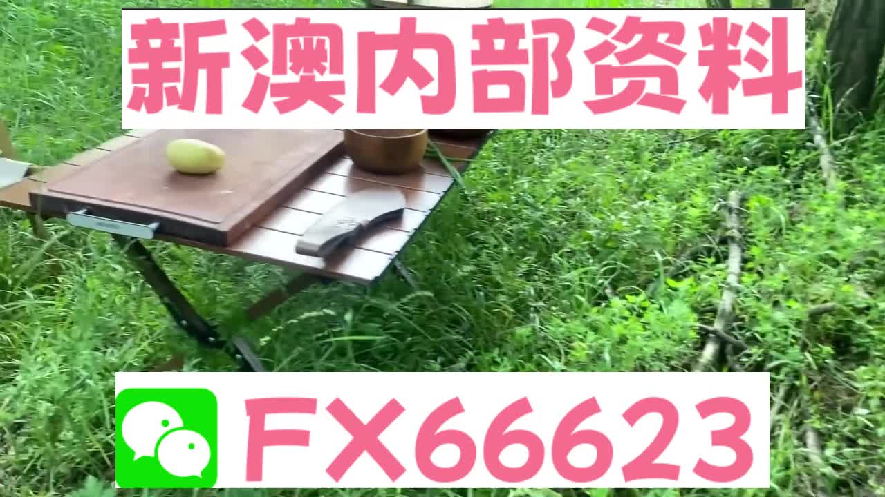 新澳六叔精准资料大全曝光！PT11.946背后竟藏惊天秘密，反馈机制让所有人都惊呆了！