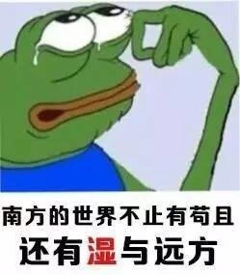 南方人崩溃预警，回南天强势回归！你家墙‘流泪’了吗？