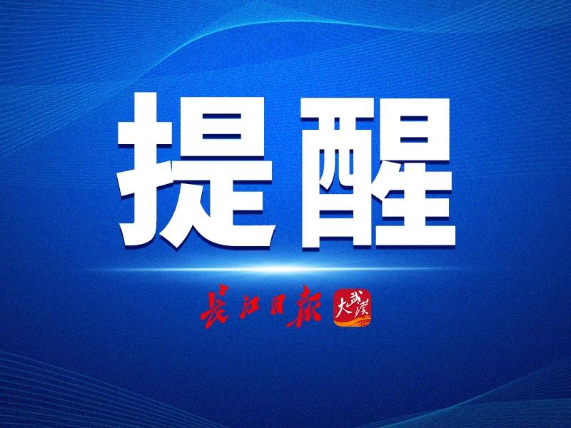 惊！民宿老板3千元网购小熊竟遭天价索赔3.8万，背后真相令人不寒而栗！