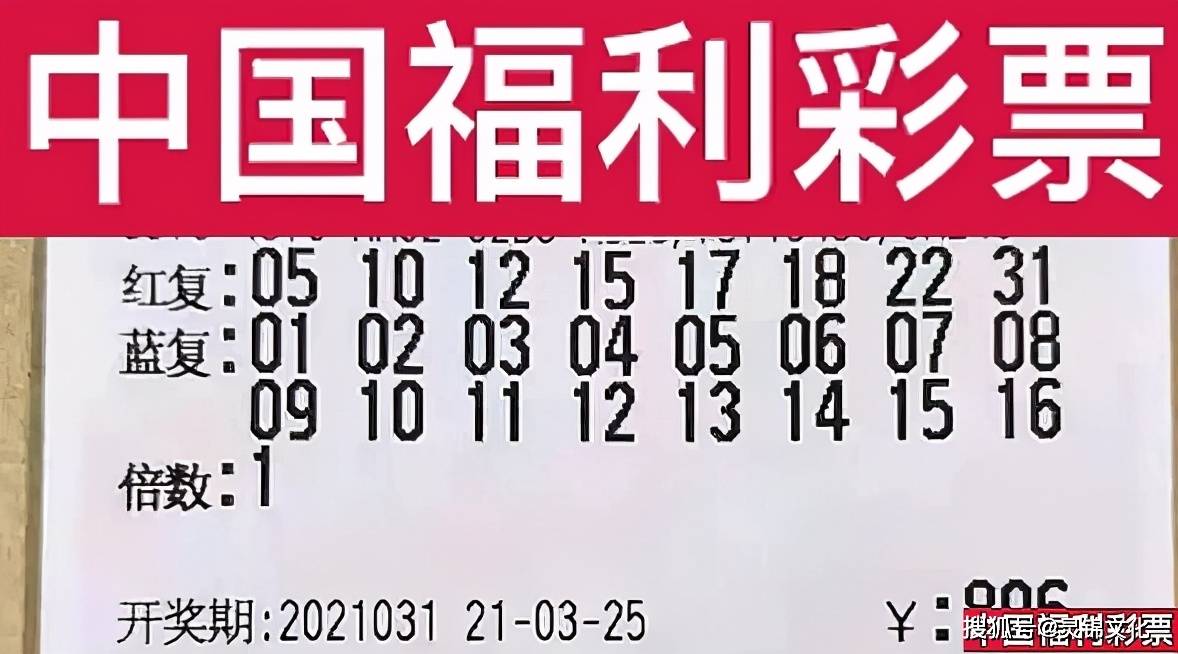 惊爆！2025澳门特马今晚开奖，65.670复刻版能否再创奇迹？新挑战与机遇的应对策略大揭秘！