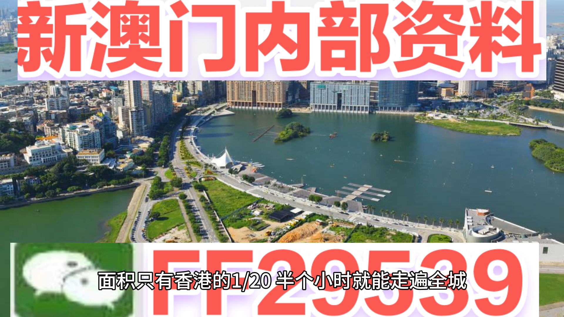 2025澳门六今晚开什么特？市场细分策略揭秘，运动版79.747能否引爆热潮？