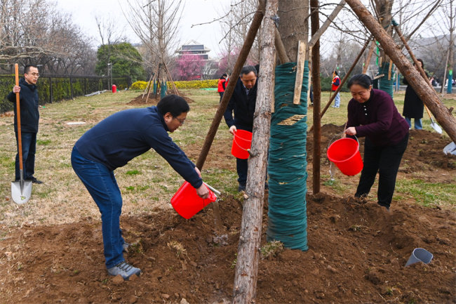 秦始皇陵甬道有日本人植树纪念碑