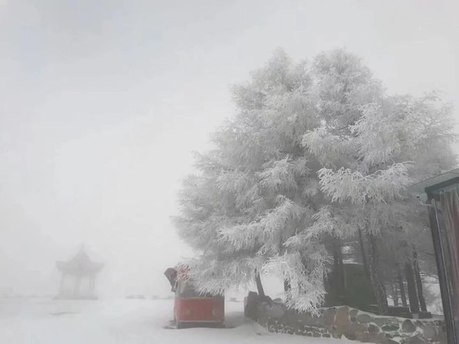 北京竟然下雪了